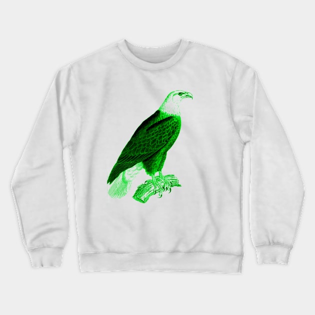 hawk,bald eagle,falcon,golden eagle,birdie,bird,bird of prey,raptor,aquila,vulture,heron,golf game,golf,eaglet,condor,haliaeetus,harpy eagle,beak,eagle putt,bird of jove,accipitridae,score,pigeon,owl,osprey Crewneck Sweatshirt by vabontchi